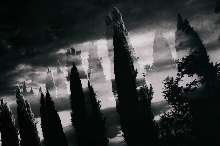 Il viale del ricordo 