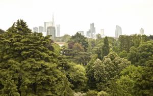 Consuelo Canducci - La Rivincita del Verde