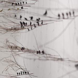 Citizen, 2016 (detail installation) Citizen, 2016 (detail installation)