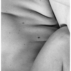 Panorami di Venere Panorami di Venere