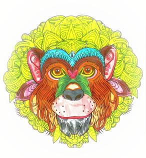        ... Sotto il sole tropicale ...