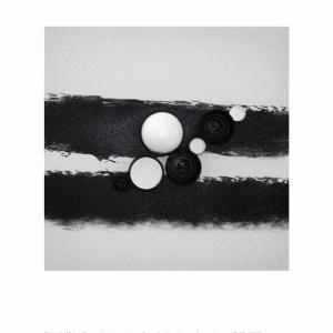 “5 Elementi 5” legno . fuoco . terra . metallo . acqua “5 Elementi 5” legno . fuoco . terra . metallo . acqua