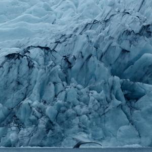 In meraviglia percorrendo le distanze In meraviglia percorrendo le distanze