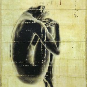 Hyena, Solo Show. 2001 - 2016, quindici anni di opere