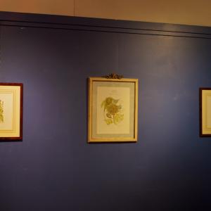 The languages of art