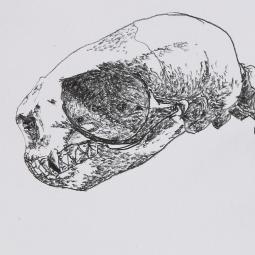  Mary-Maxence GORNIKOWSKI