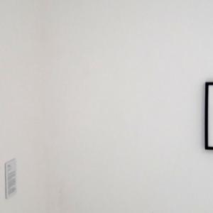  CELESTINO V BETWEEN ART AND EREMITAGE- Edited by Roberto Cumbo and Laura Mocci