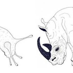 Naturacultura - madre terra Naturacultura - madre terra