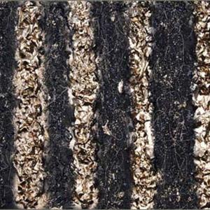 Analisi Illogica Analisi Illogica