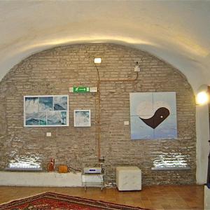 collettiva arti visive "5elementi5"