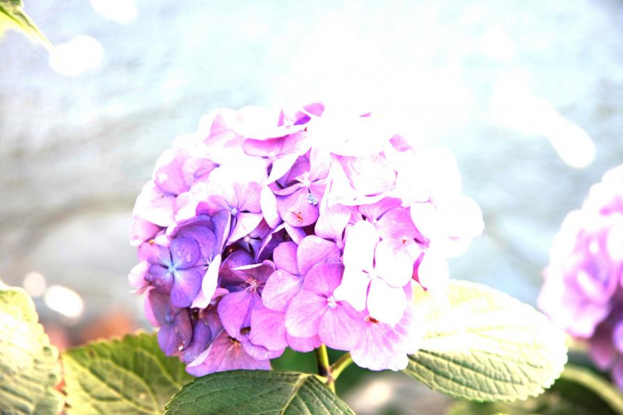 SOVRAESPOSIZIONI 1. LA NATURA SOVRAESPOSIZIONI 1. LA NATURA