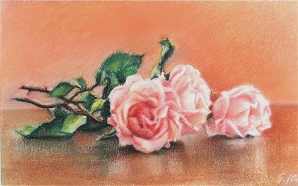 Gianfranco Castelli - Rose