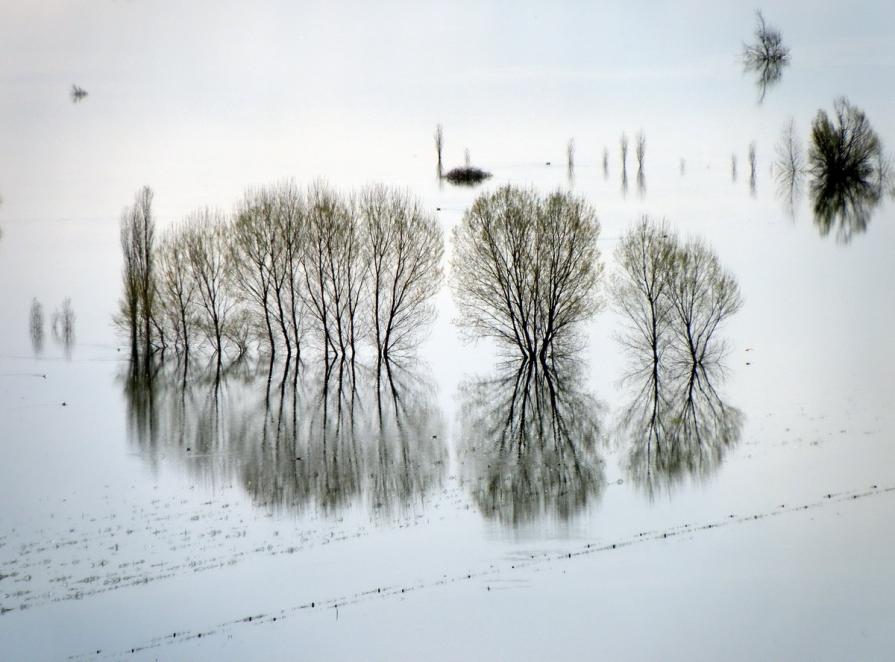 Stato di beatitudine terrestre