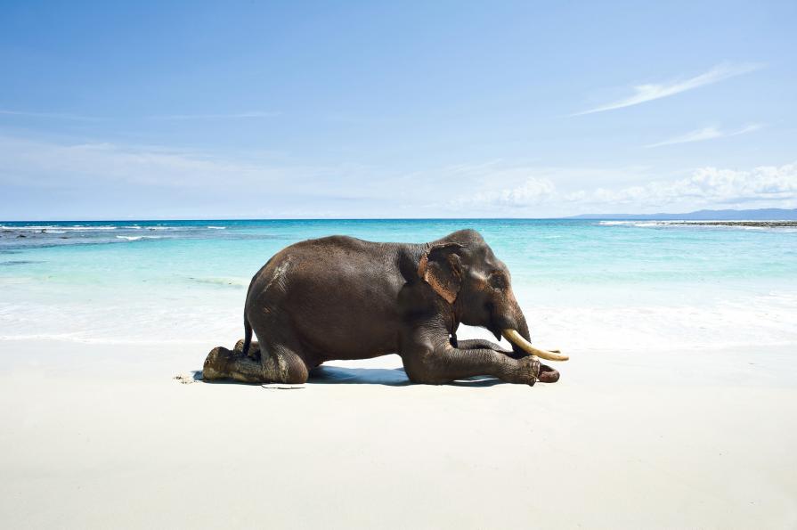 PRAYING GANESH PRAYING GANESH