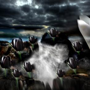 da qui non si passa fratello nero,tornatene a casa tua....viva la francia...nazione democratica .