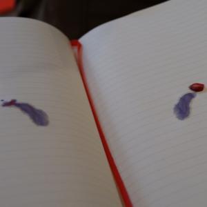 In case of loss In case of loss