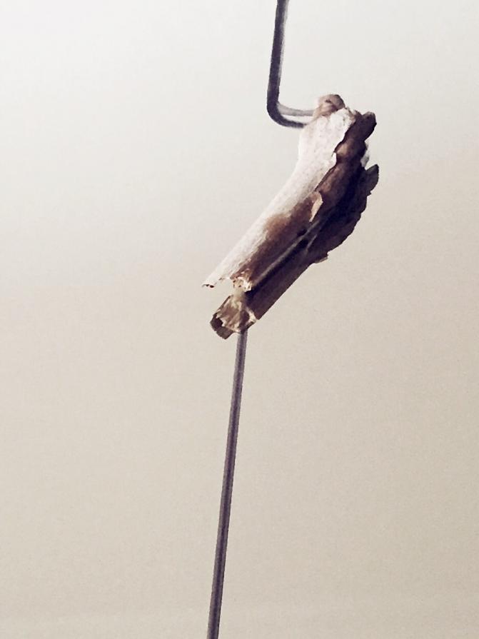 Who will control the future