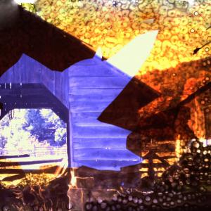 Burnt Leaf Against Covered Brdige