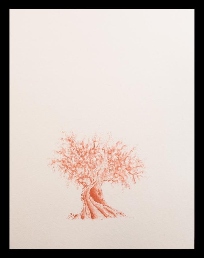 a U L I V O o f R 7 ®