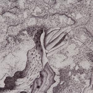 a U L I V O o f R 7 ®