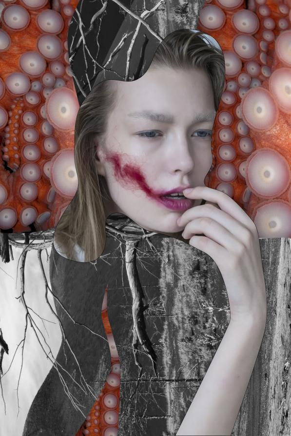 Circles and borders series