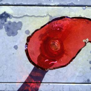 Albero Rosso Piegato dal Vento