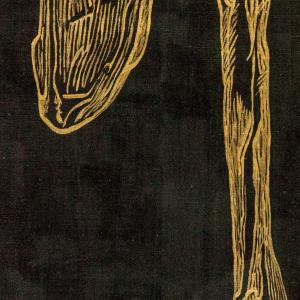 Imperishable Relics (Shoulder Blade) 