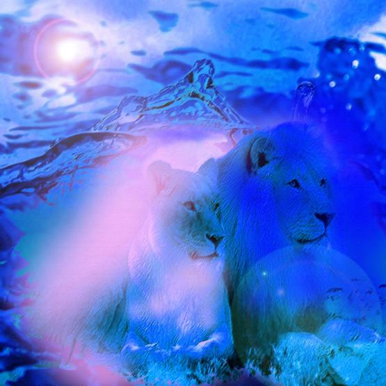 . . . Con Te Mi Sento Una LEONESSA !!!! 