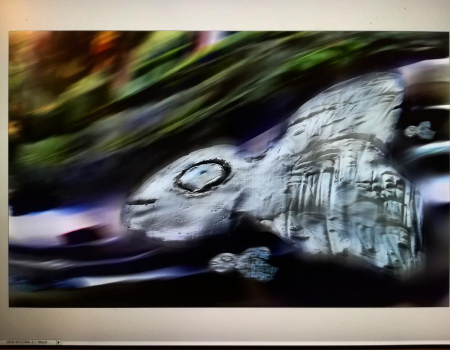 Nel acquario di Angiolina nuovi inquilini ci sono entranti.