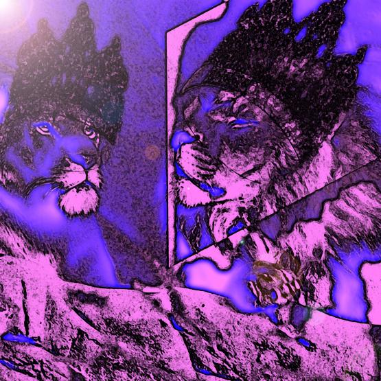 Un Leone In Una Giornata Di Sole . . .