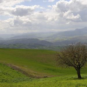 Italy. Basilicata & Campania. Dropouts and rediscovered