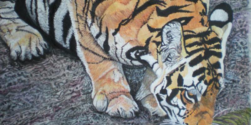 Nature Revisited Nature Revisited