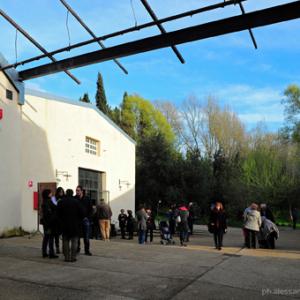 5 Elementi 5 Legno - Fuoco -Terra - Metallo - Acqua / Armonie e contrasti della natura attraverso l’Arte e il Feng shui 5 Elementi 5 Legno - Fuoco -Terra - Metallo - Acqua / Armonie e contrasti della natura attraverso l’Arte e il Feng shui