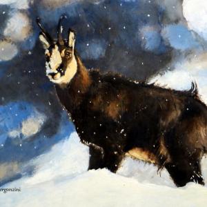 ANIMALS ART al Club La Meridiana di Modena