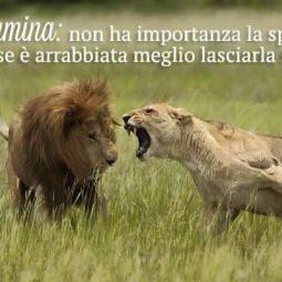 Annamaria Di Gennaro