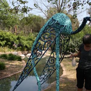 ZOOMaginario ZOOMaginario