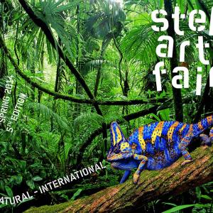 CATALOGO 2014 "Step Art Fair" of Milan