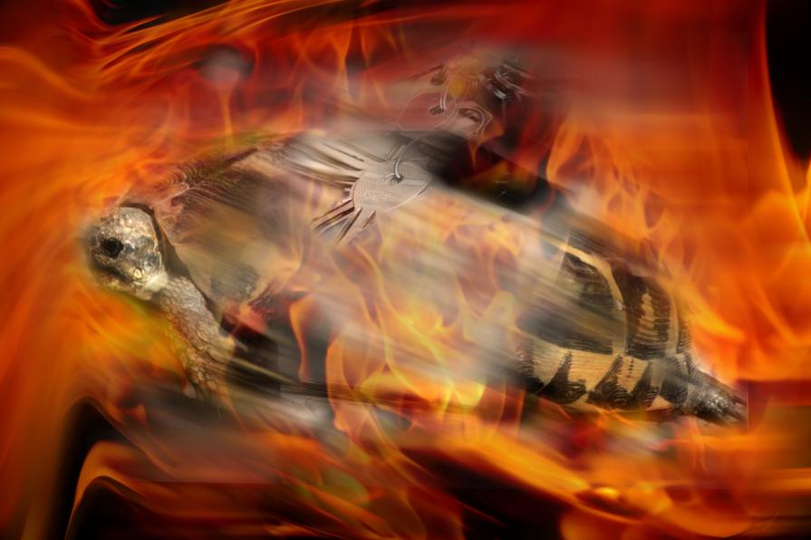 oltre passa, passaoltre ,entra esci.