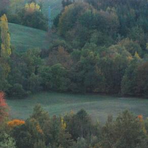 Varietà cromatica naturale