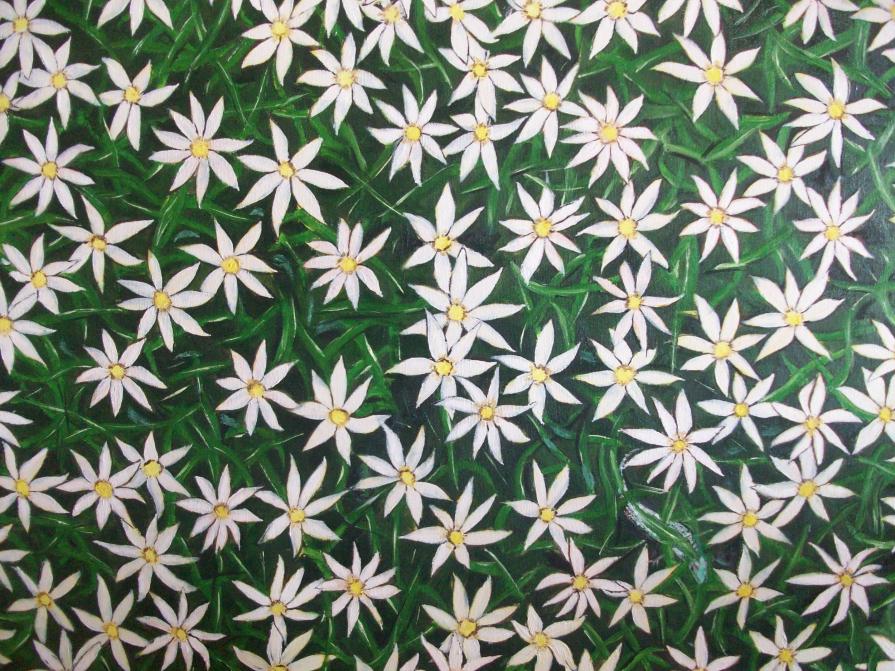 "Fiori e Allusioni opera prima