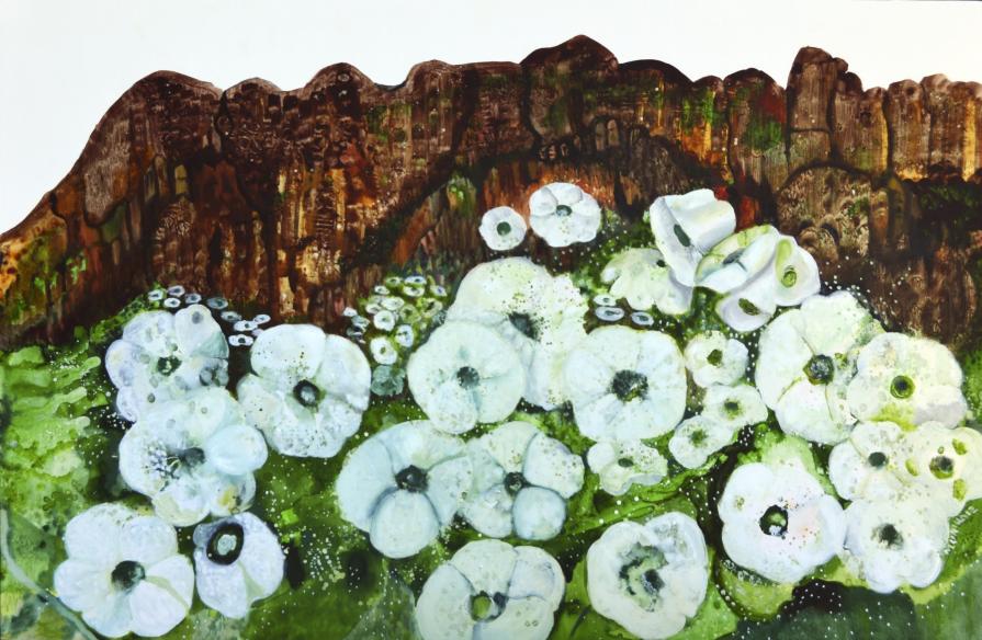 Tiempo de casahuates Tiempo de casahuates