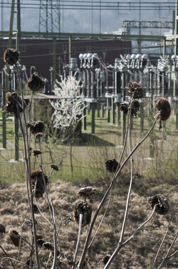 Insight-Out 11 Insight-Out 11