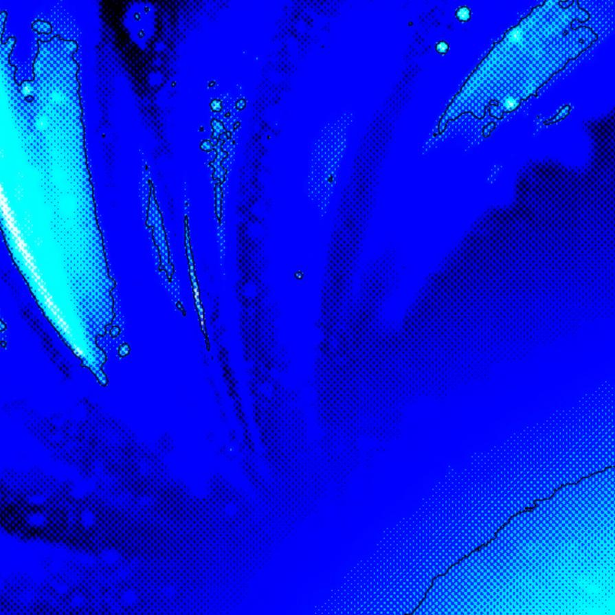 ... COME UN SOFFIO DI VENTO SI SPANDE L'ATMOSFERA NATALIZIA !!! ...