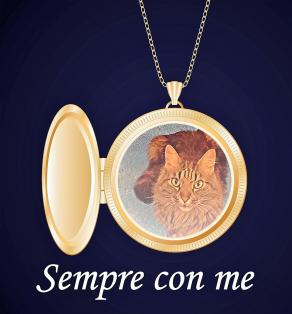 Per lasciare il percorso di tutti i tempi !!!