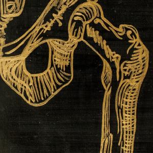 Imperishable Relics (Pelvic Bone) 