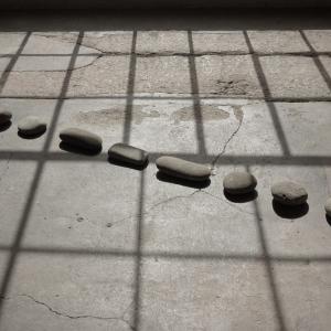 SOS-Nature - dettaglio 3