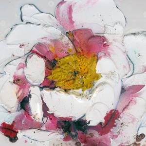 PROFUMI di peonie a Moutan