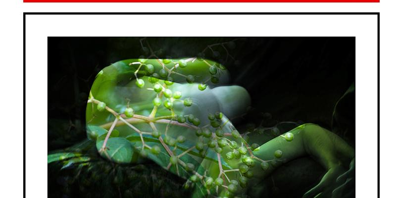 Percezione dell'accadere, del farsi delle cose, del loro costante divenire Percezione dell'accadere, del farsi delle cose, del loro costante divenire