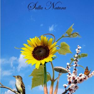 "Premio Arte Ragubella" Sulla Natura