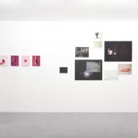 Clicca per Ingrandire